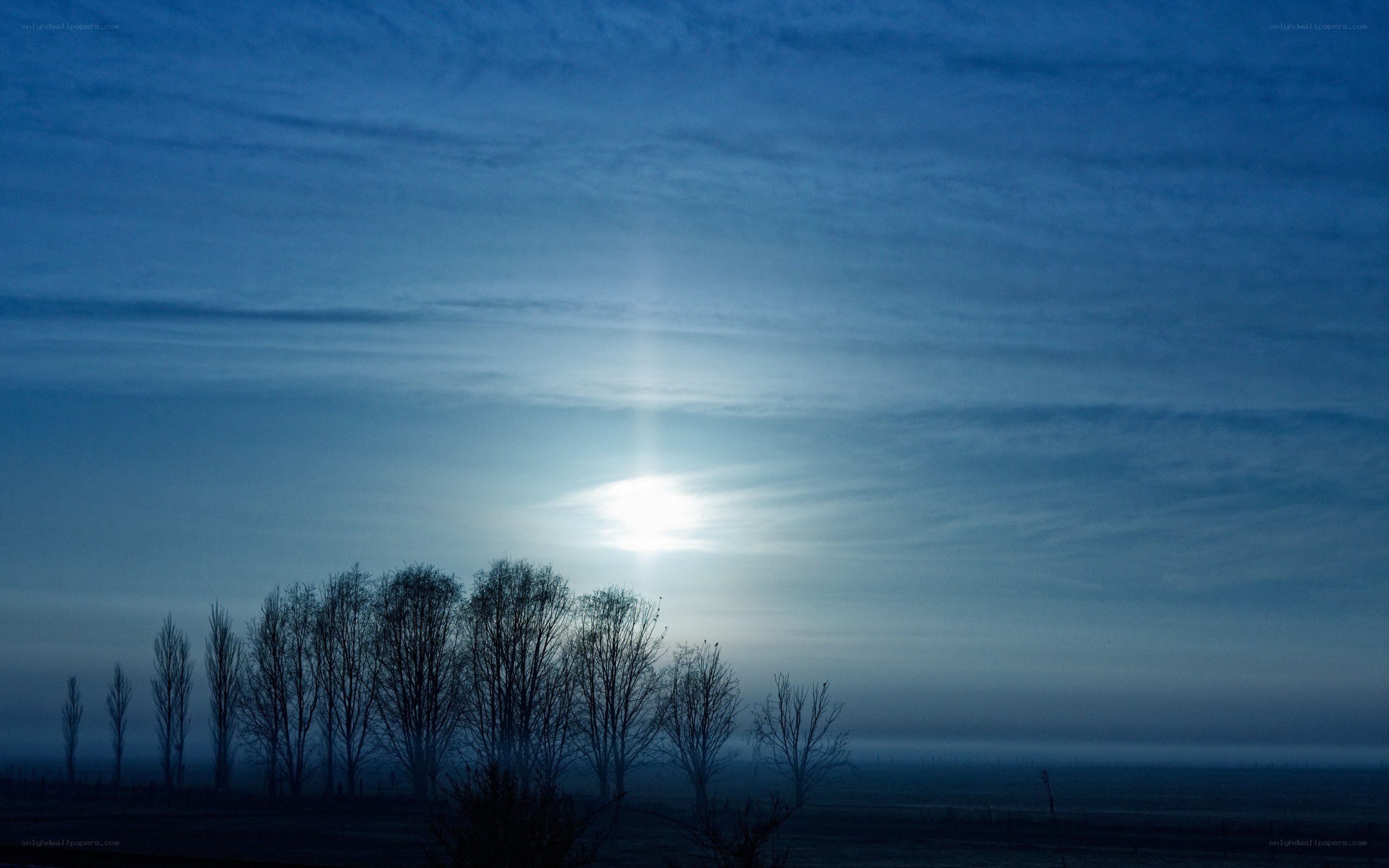 Moonrise over bare trees