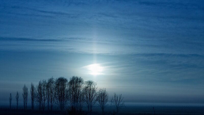 Moonrise over bare trees