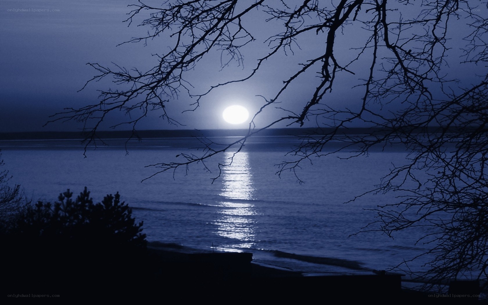 Moonrise over calm waters