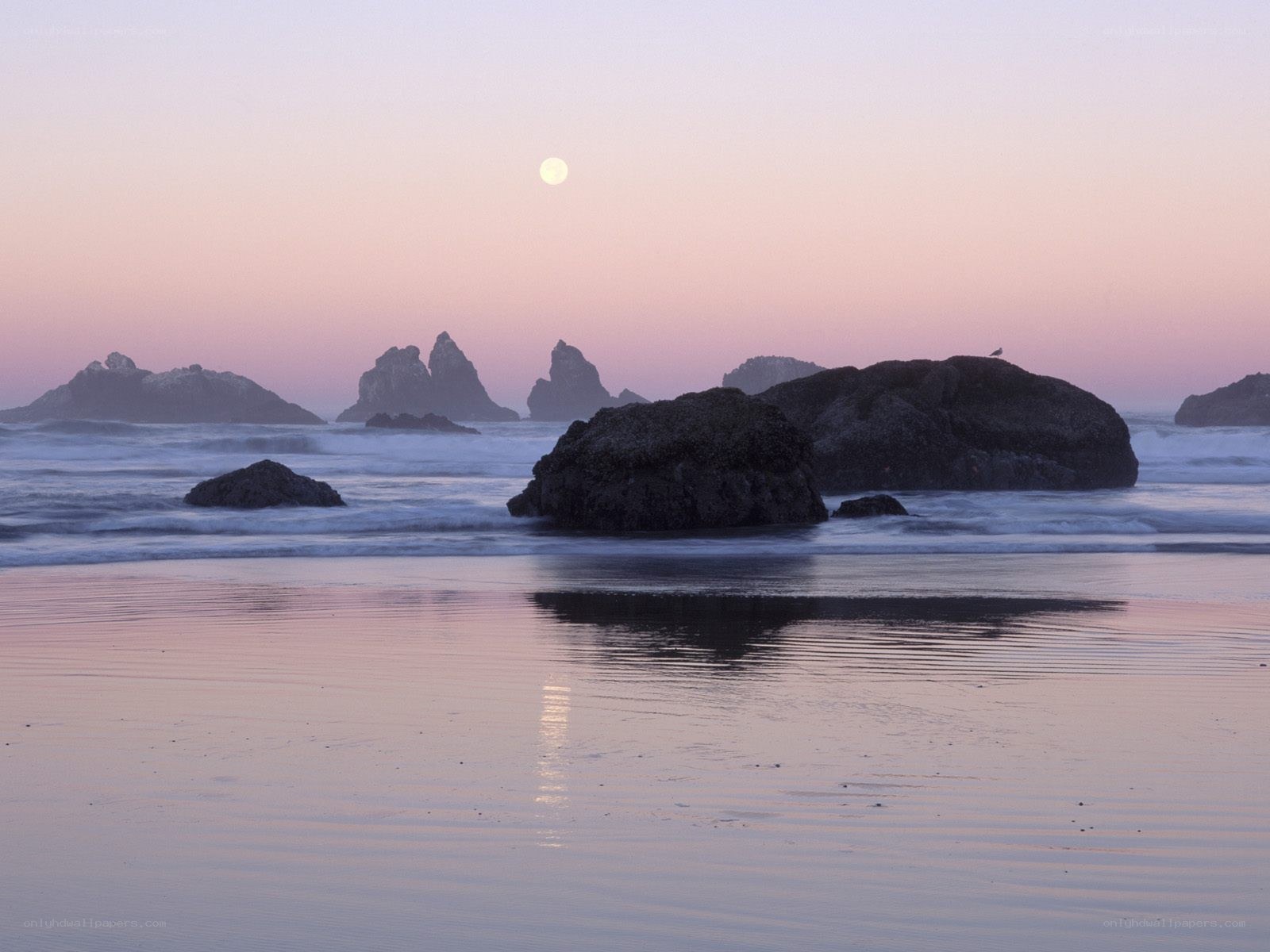 Moonrise over coastal rocks