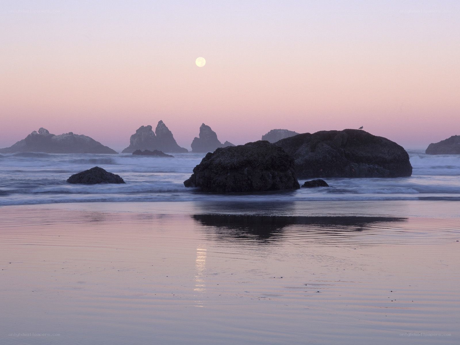 Moonrise over coastal rocks