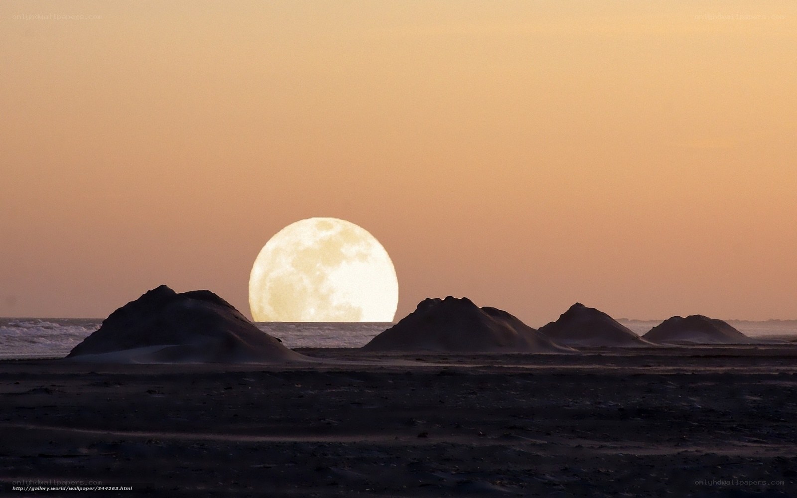 Moonrise over desert dunes
