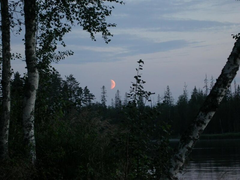 Moonrise over forest lake