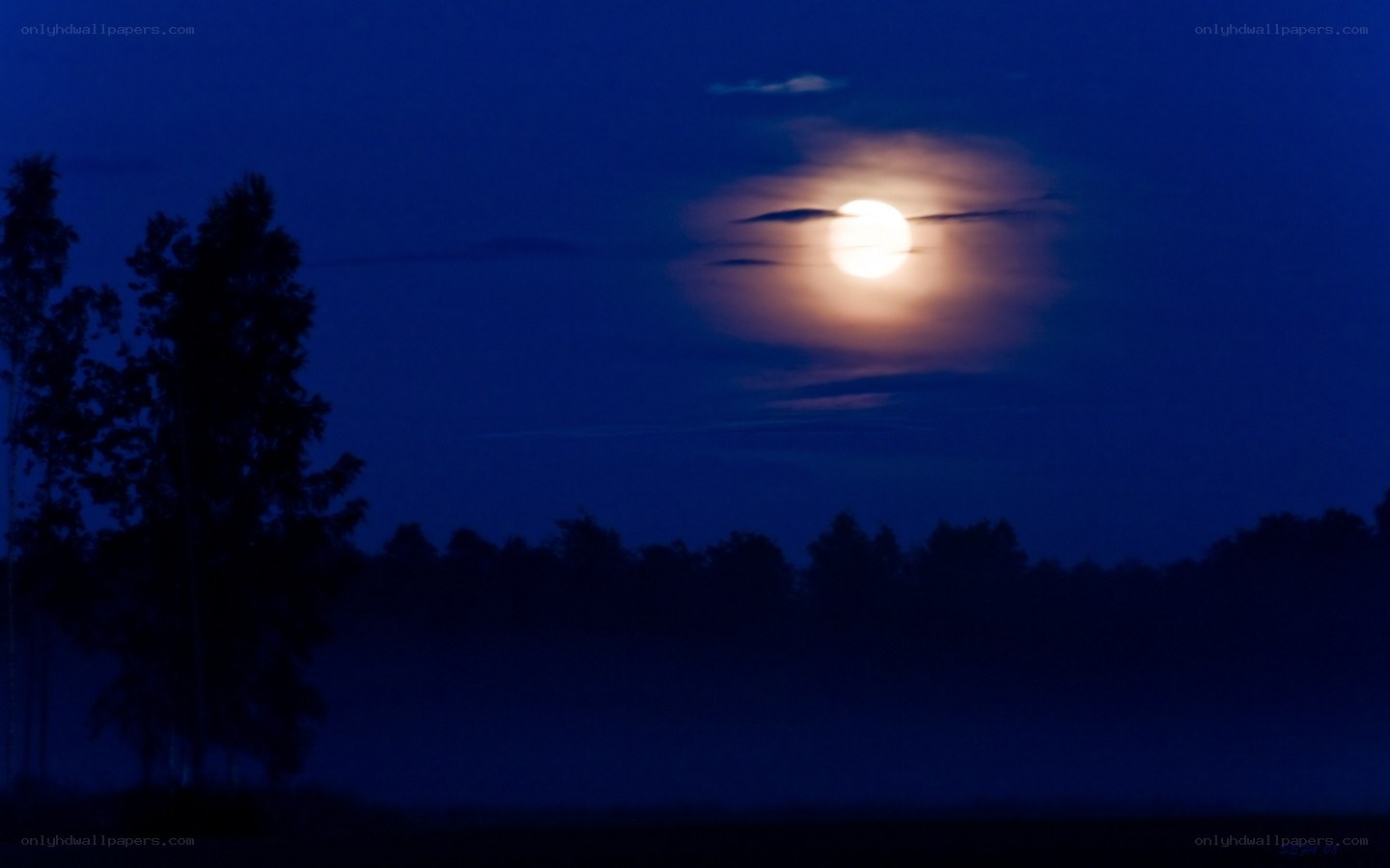 Moonrise over forest silhouette