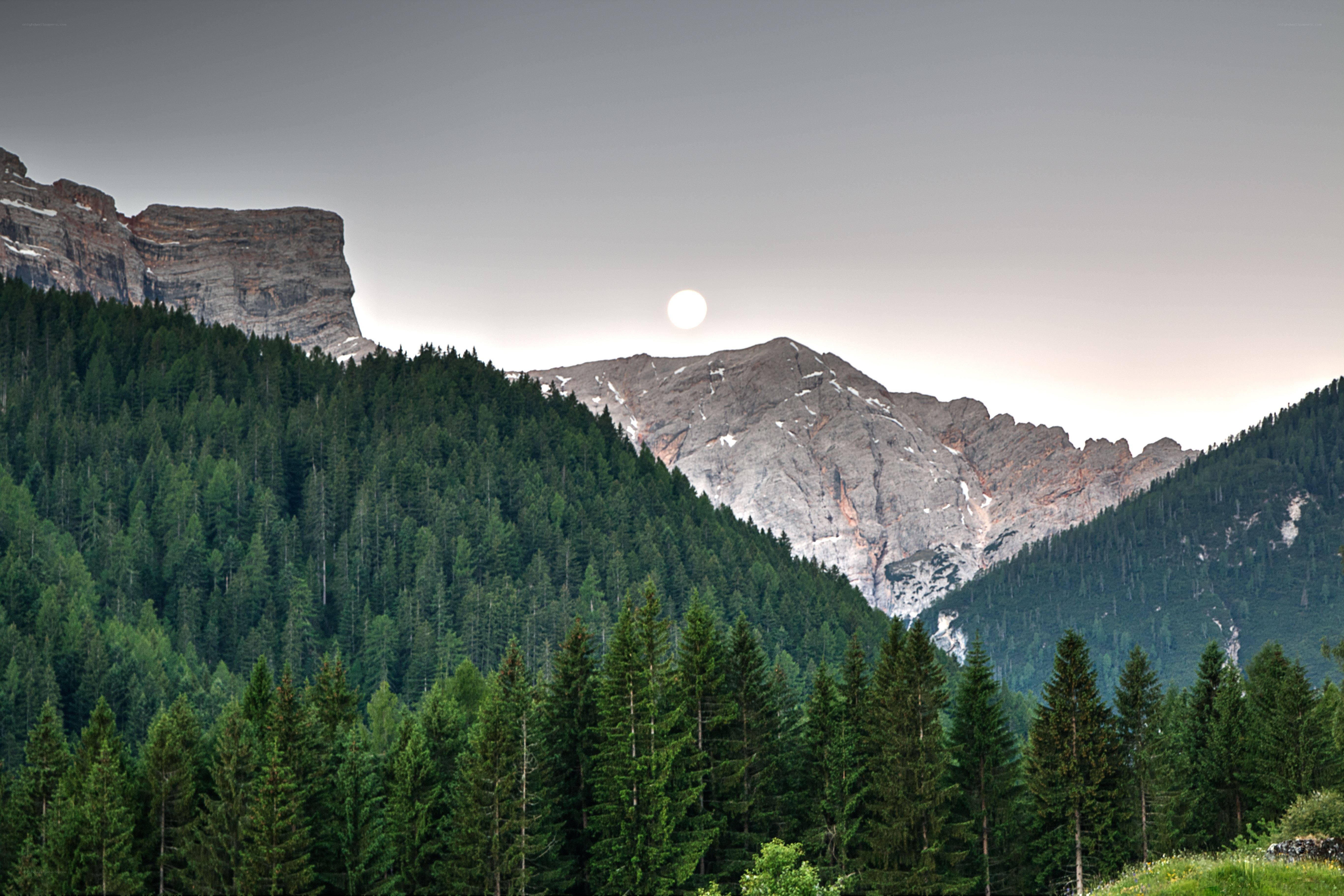 Moonrise over forested mountains