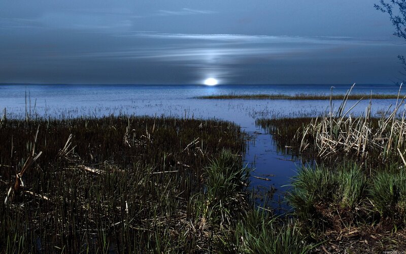 Moonrise over marshland