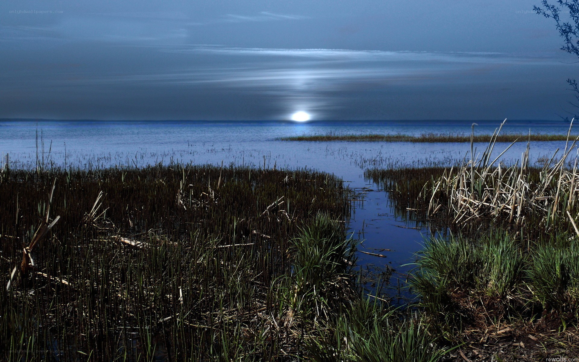 Moonrise over marshland