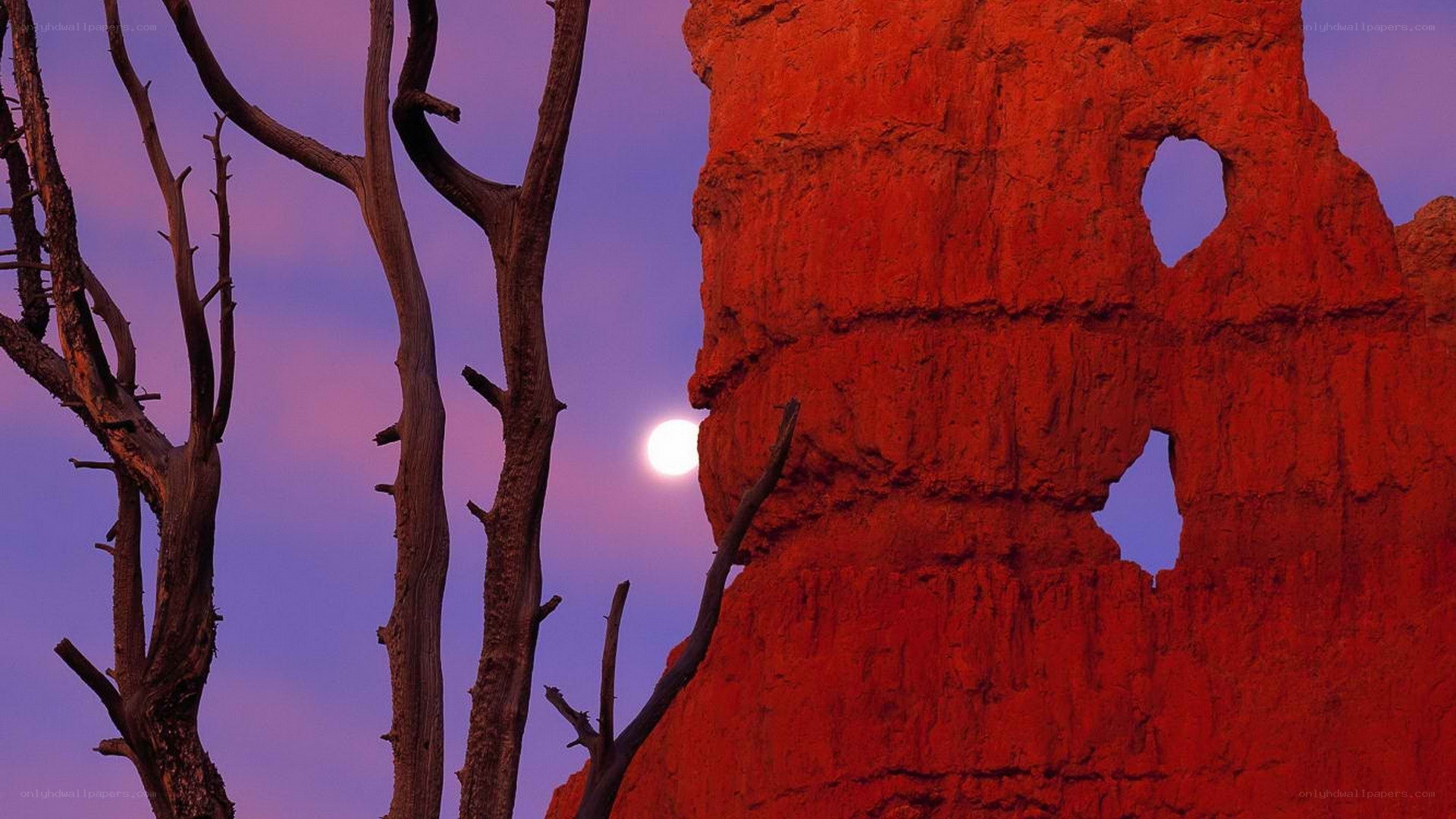 Moonrise over red rock formations