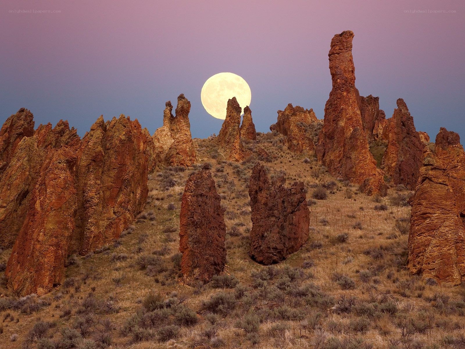 Moonrise over rock formations