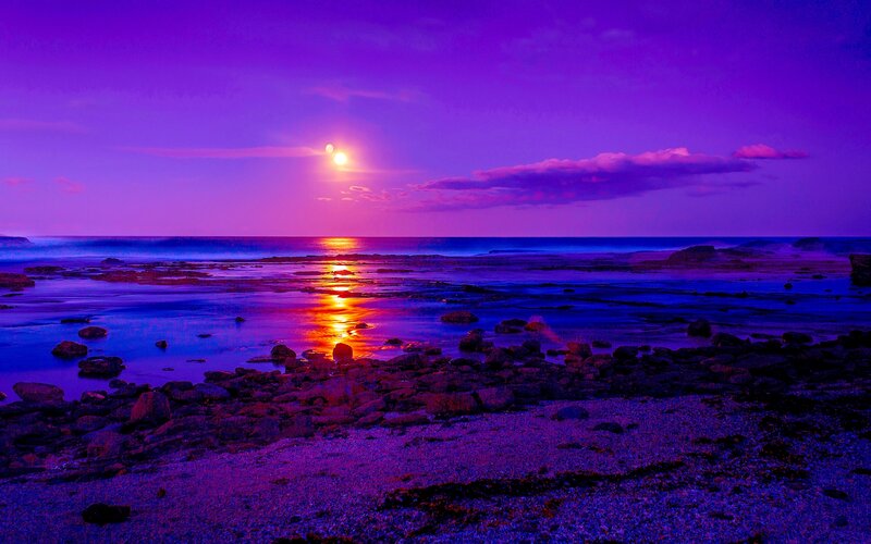 Moonrise over Rocky Shore — Purple