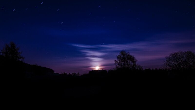 Moonrise over Silhouetted Trees — Blue