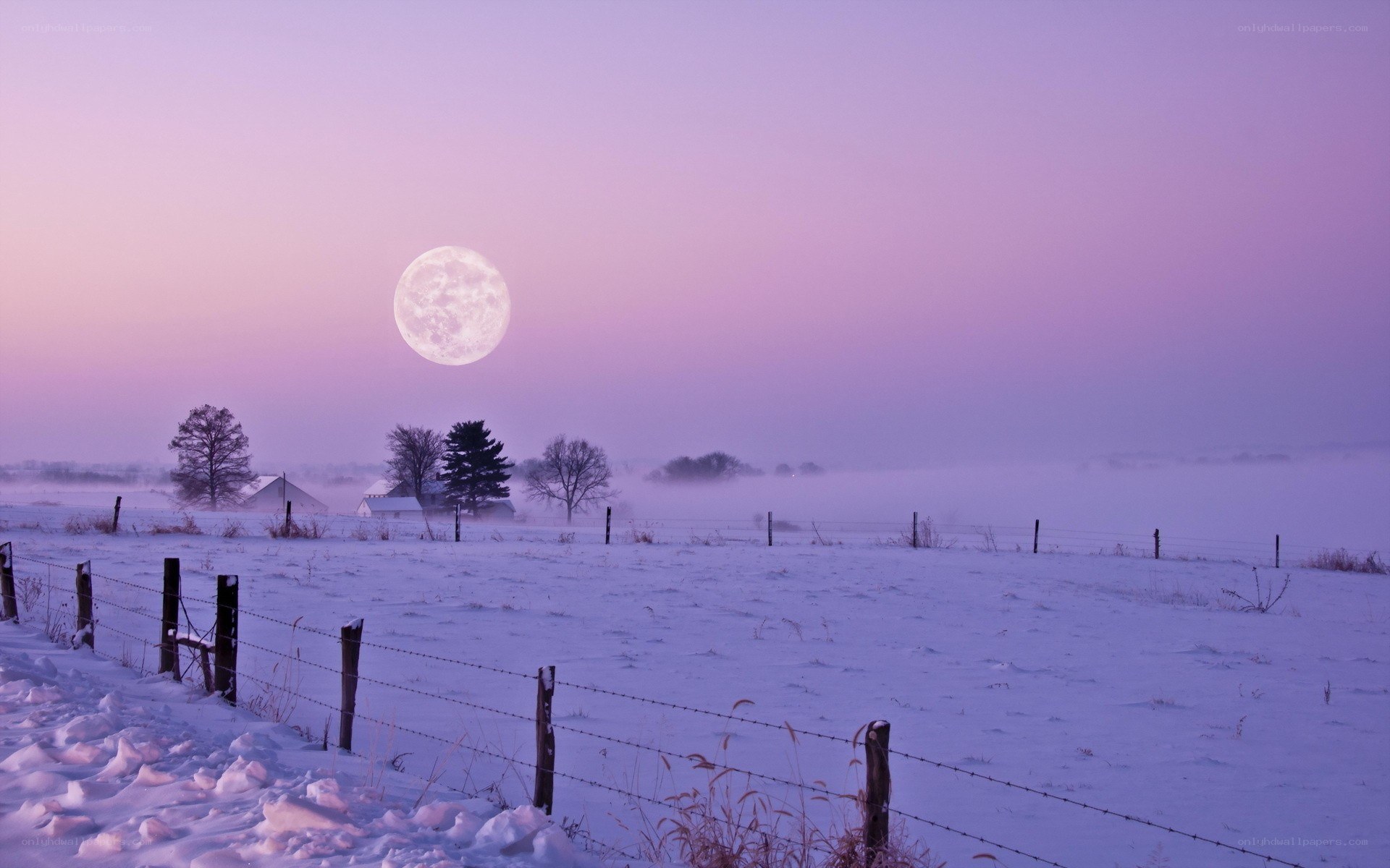 Moonrise over snowy field