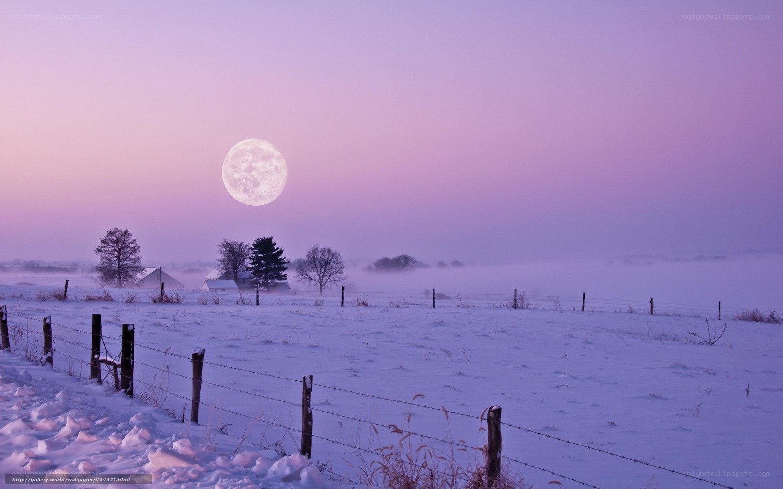Moonrise over snowy field