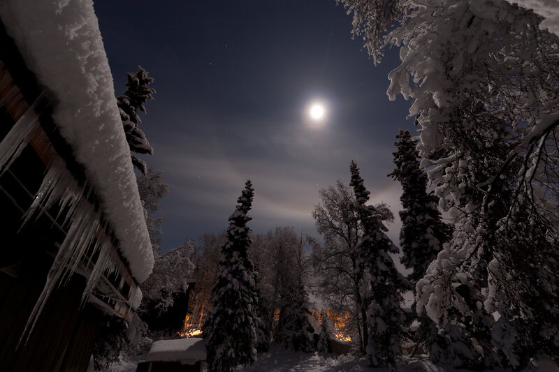 Moonrise over snowy forest