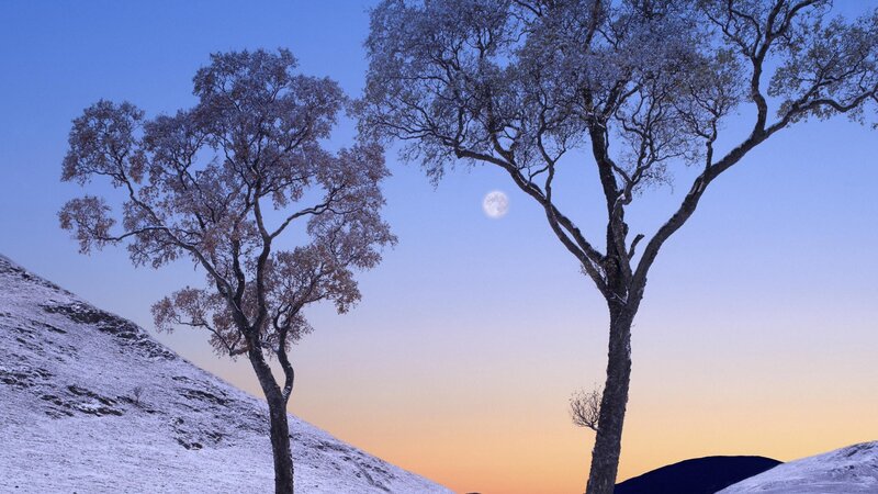 Moonrise over snowy hills