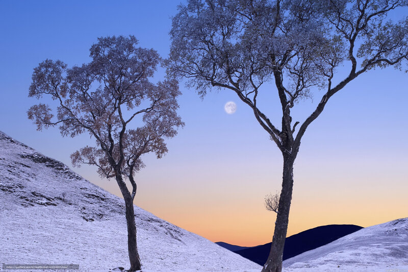 Moonrise over snowy hills