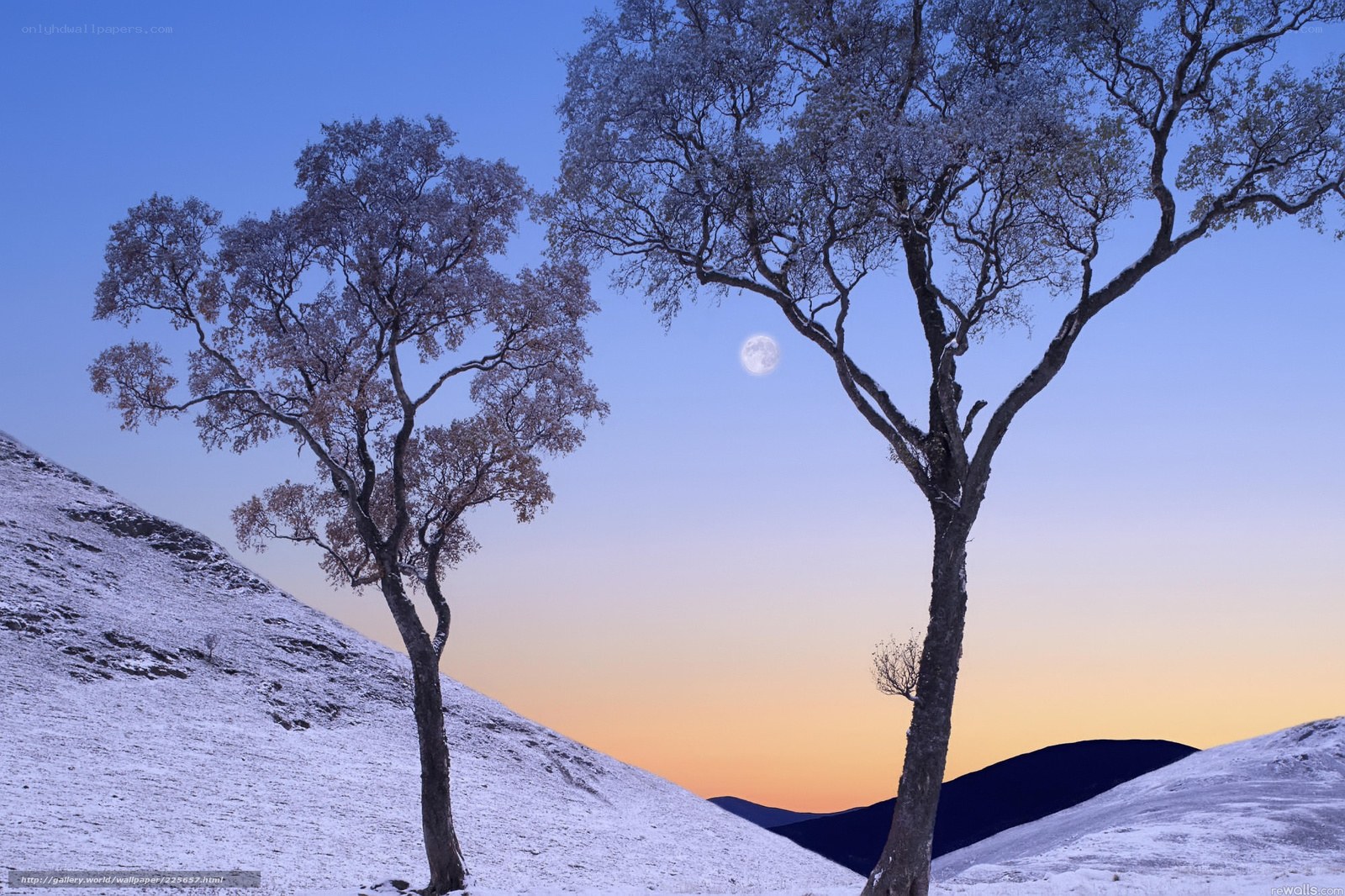 Moonrise over snowy hills