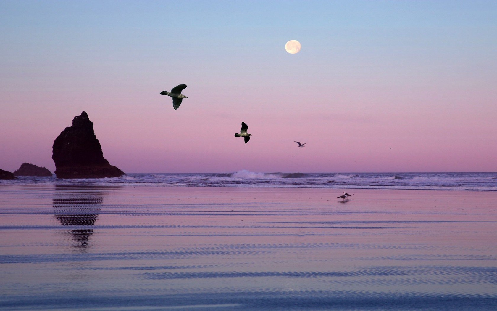 Moonrise over the beach