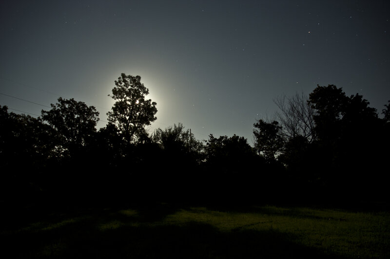 Moonrise over trees at night