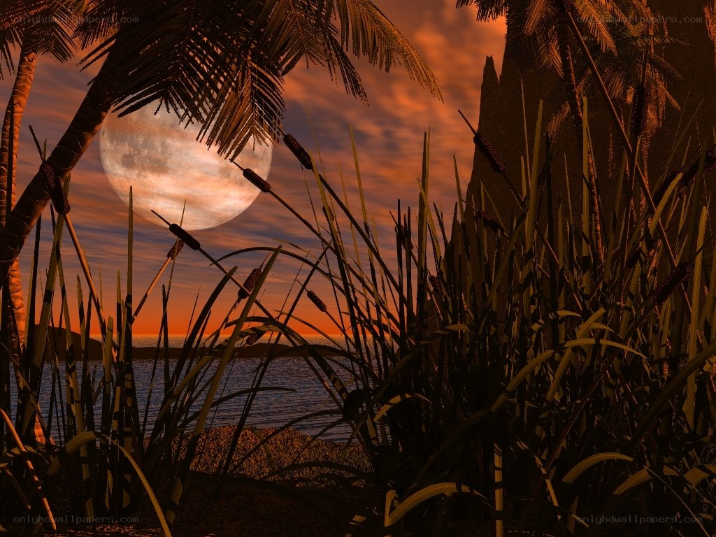Moonrise over tropical beach