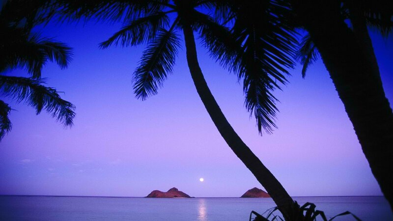 Moonrise over tropical island
