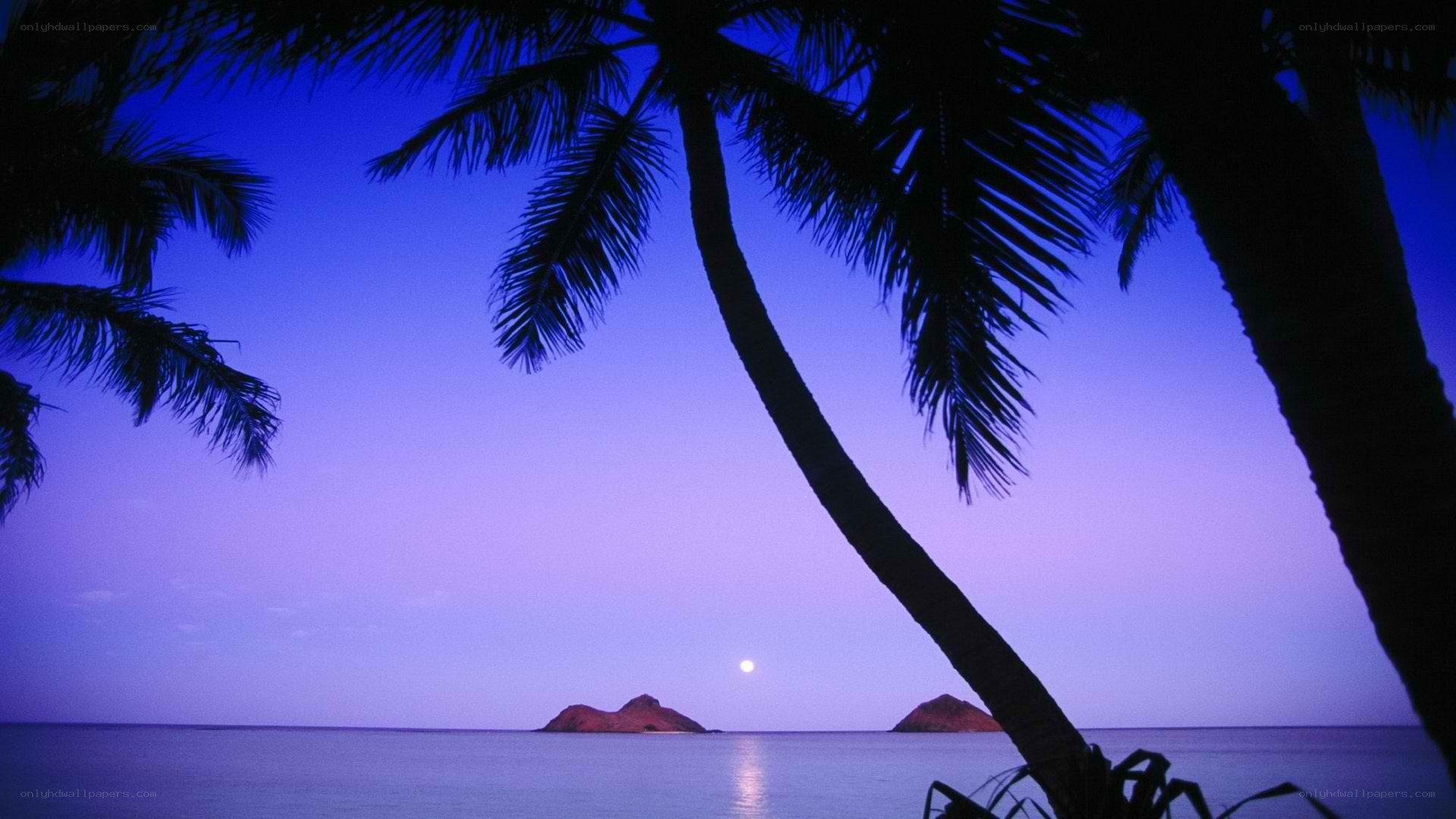 Moonrise over tropical island