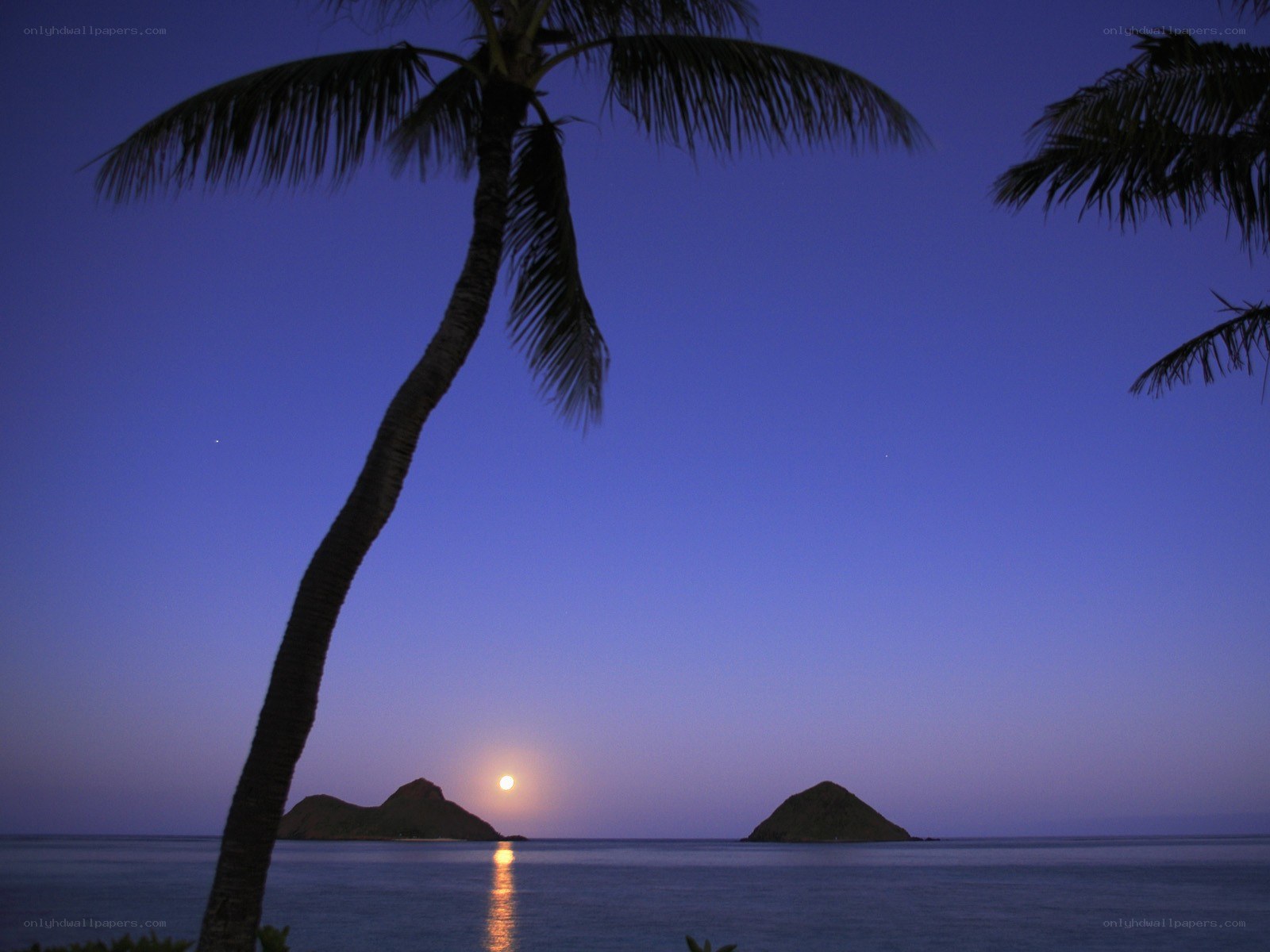 Moonrise over tropical islands