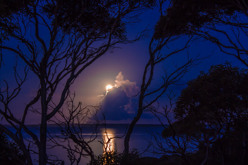 Moonrise over Water — Blue, Serene, Night