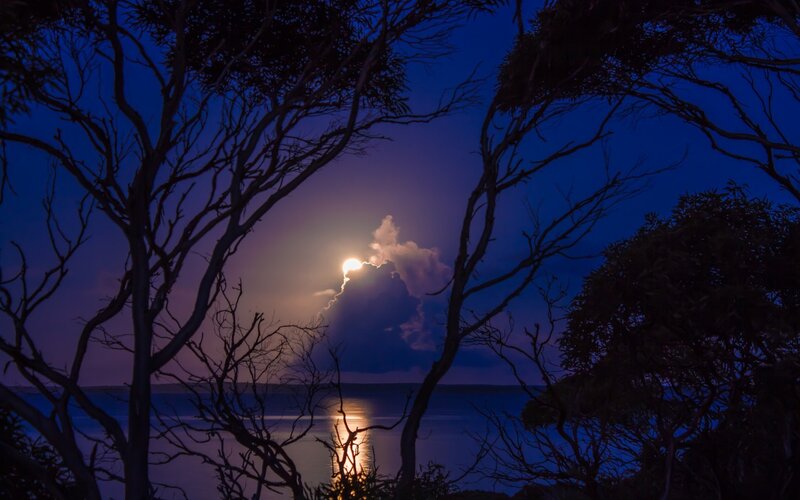 Moonrise over Water — Blue, Serene