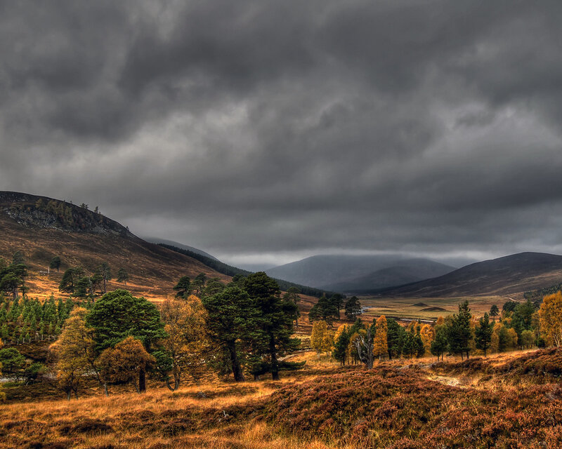moorland under stormy sky