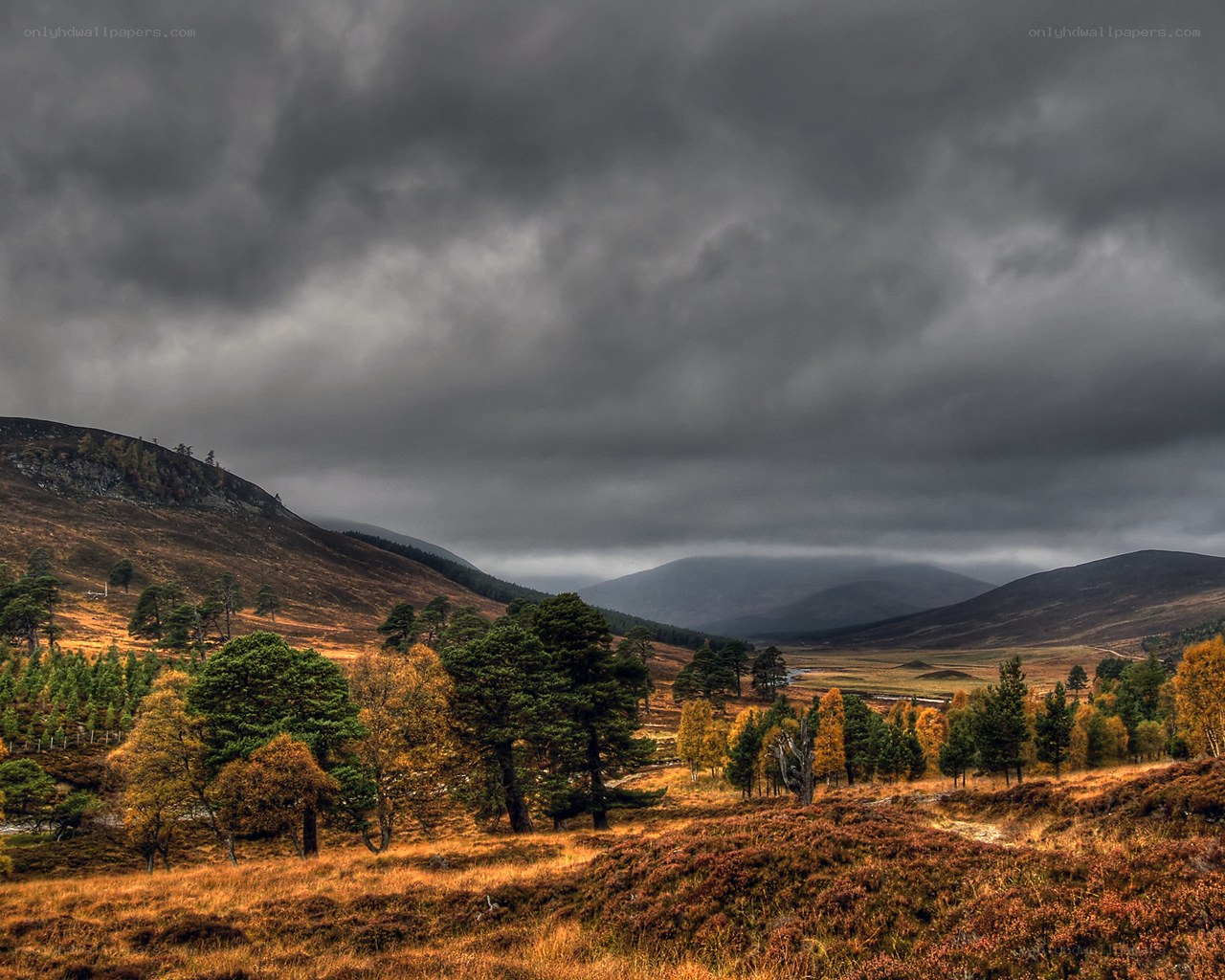 moorland under stormy sky