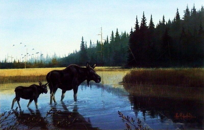 Moose and Calf in Water — Blue