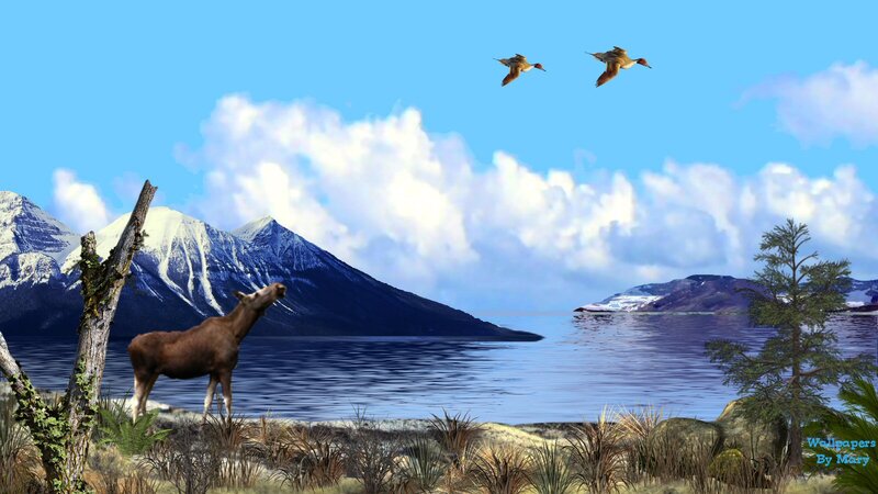 Moose by a Lake