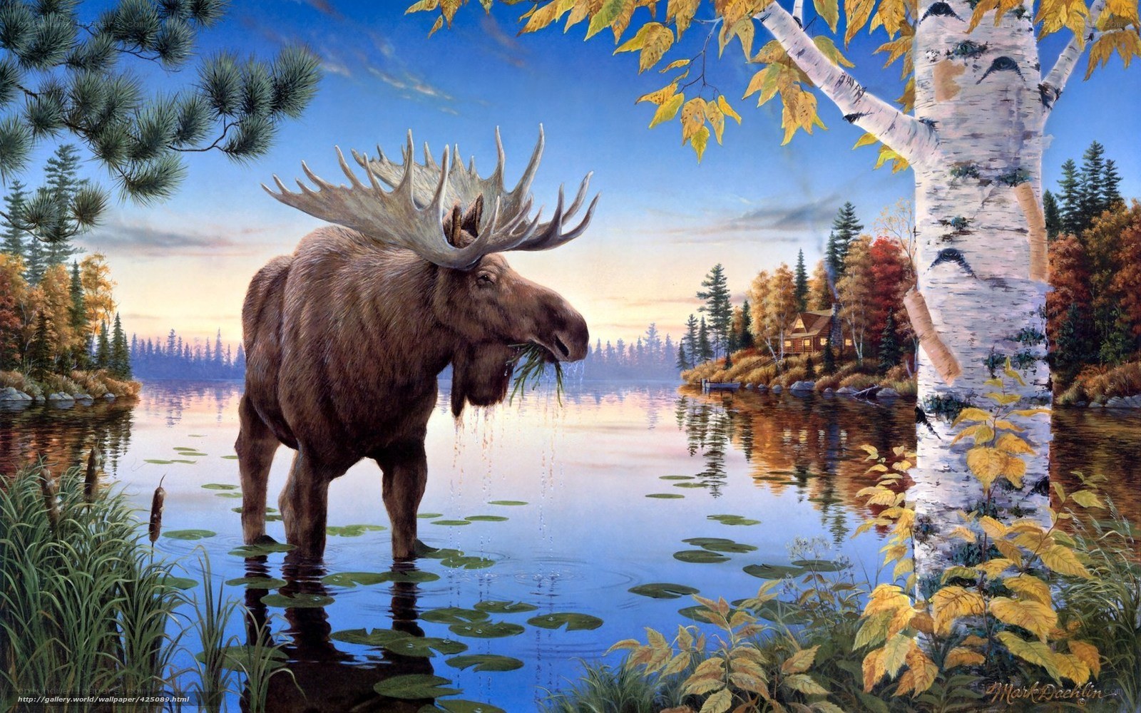 Moose by a lakeside