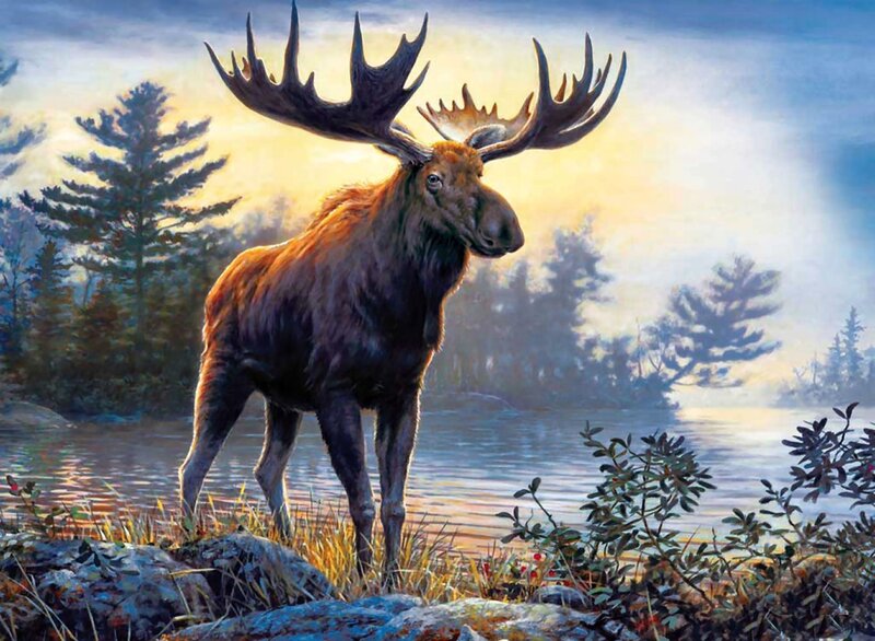 Moose by Lake — Brown