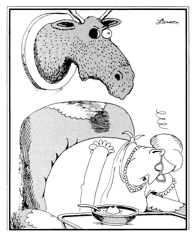 Moose head and woman eating