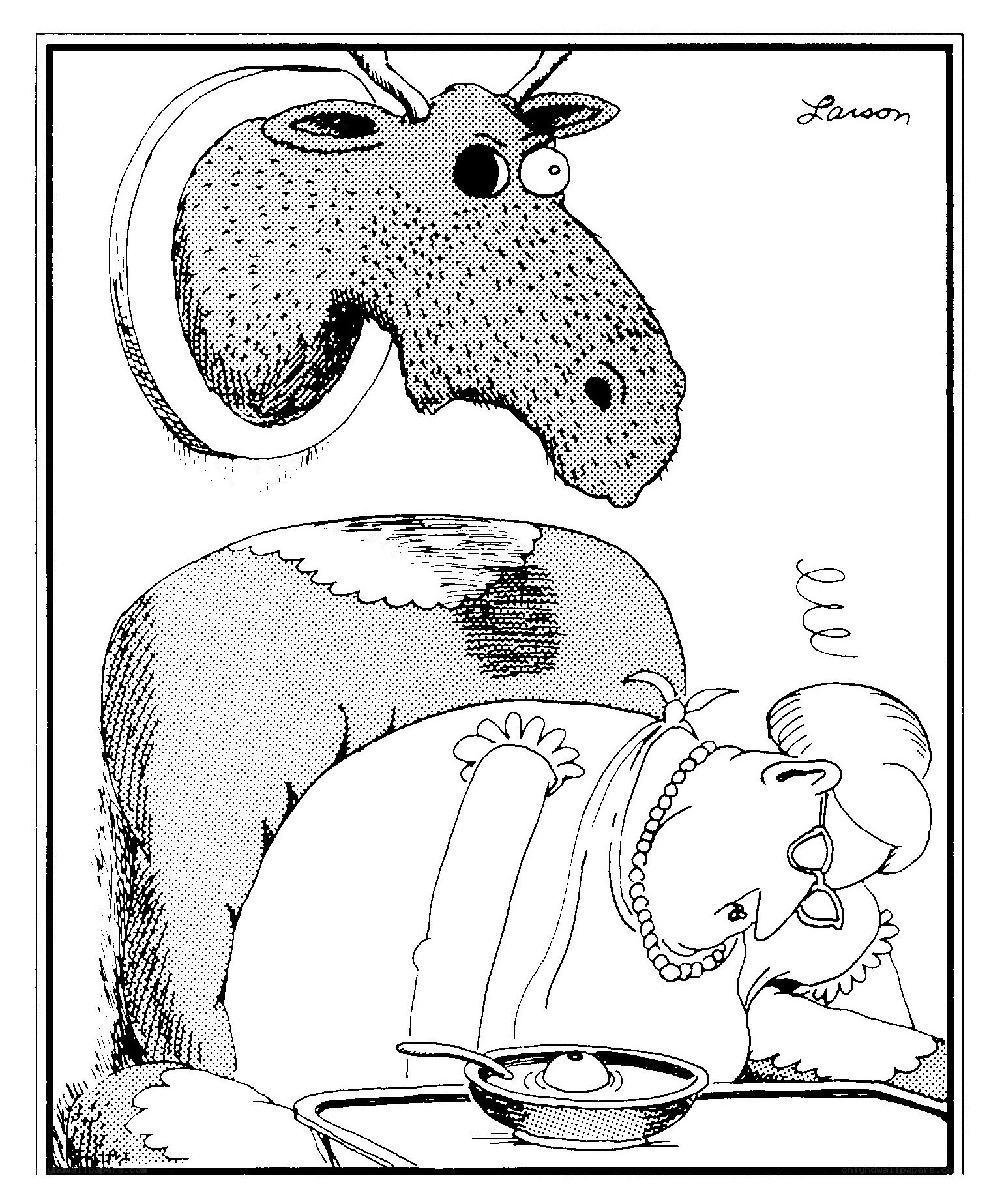 Moose head and woman eating