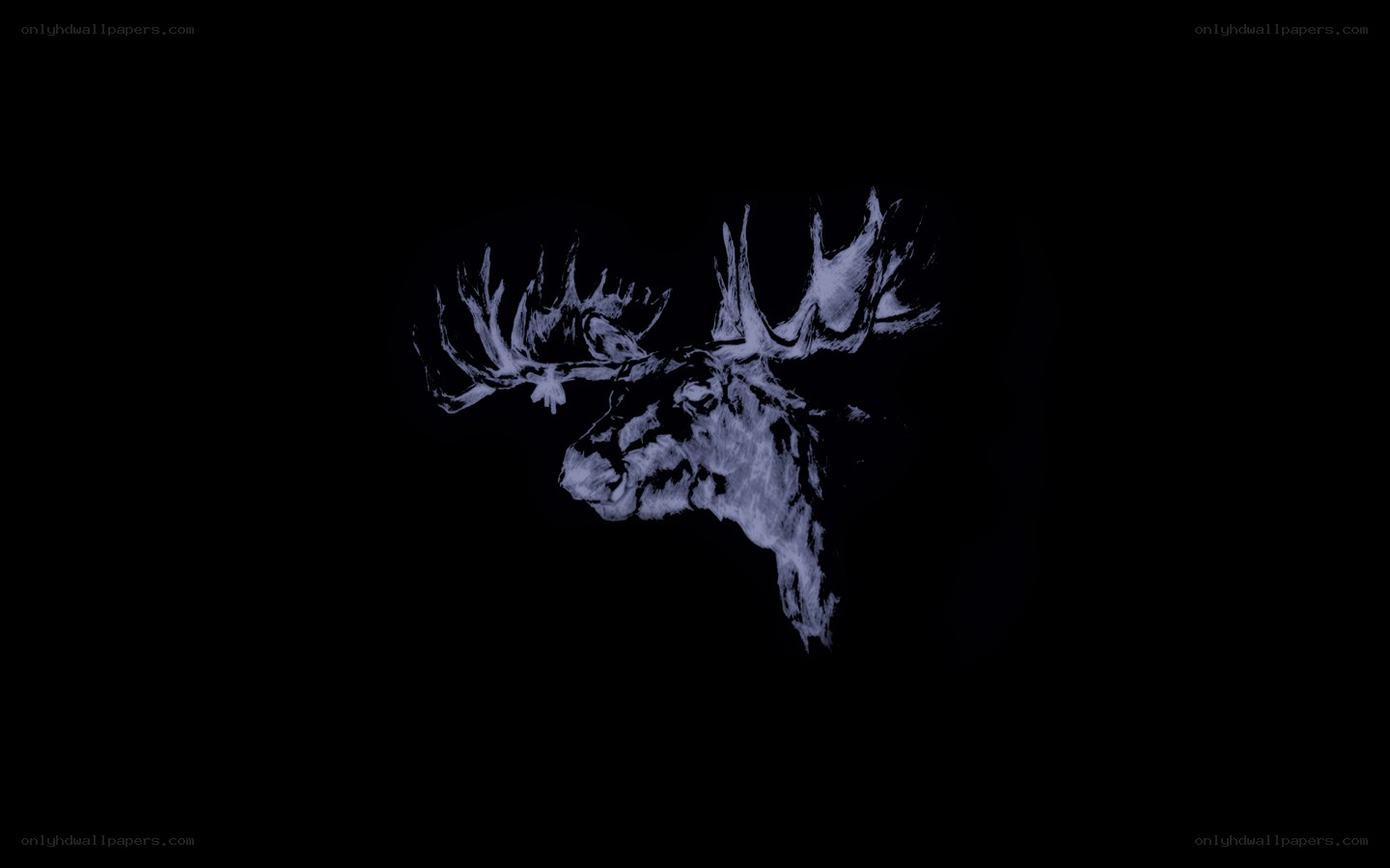 moose head illustration