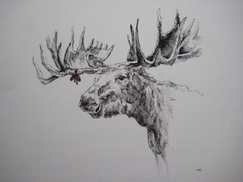 moose head sketch