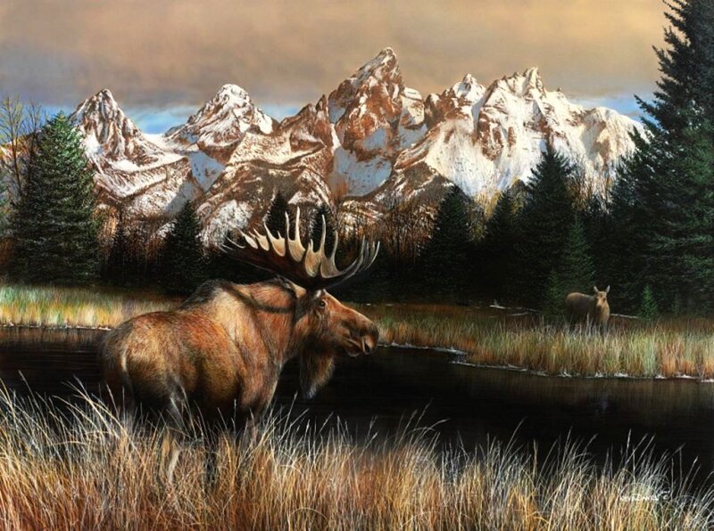 Moose in a Marsh — Brown
