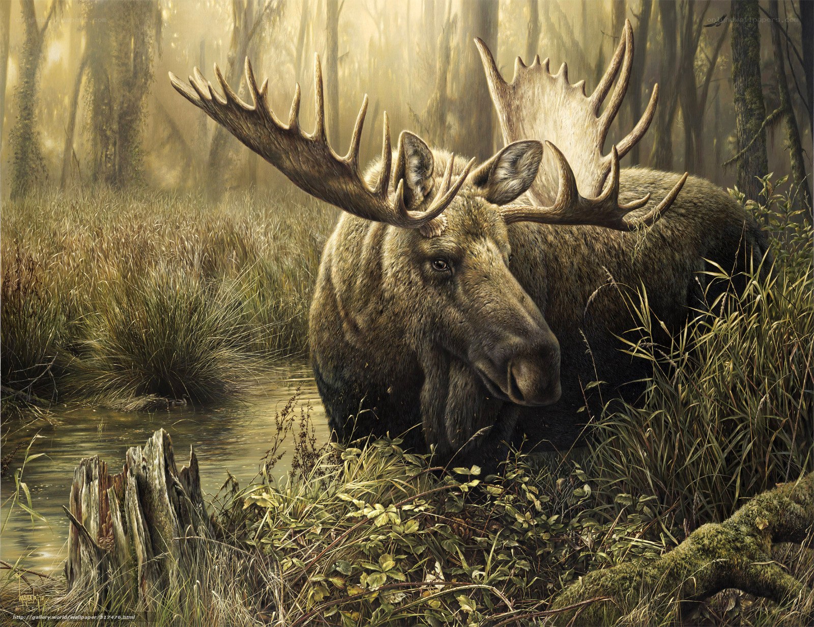 Moose in a misty forest