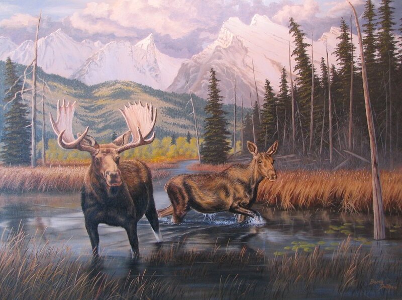 Moose in a mountain lake