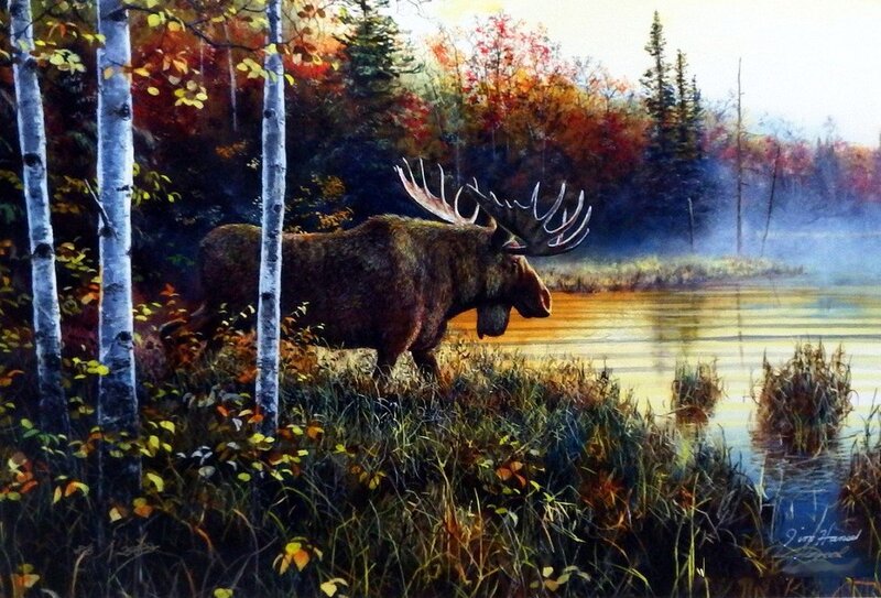 Moose in Autumn Forest — Brown, Serene