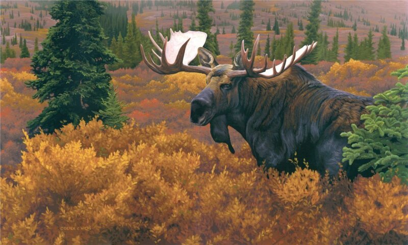 Moose in Autumn Forest — Yellow