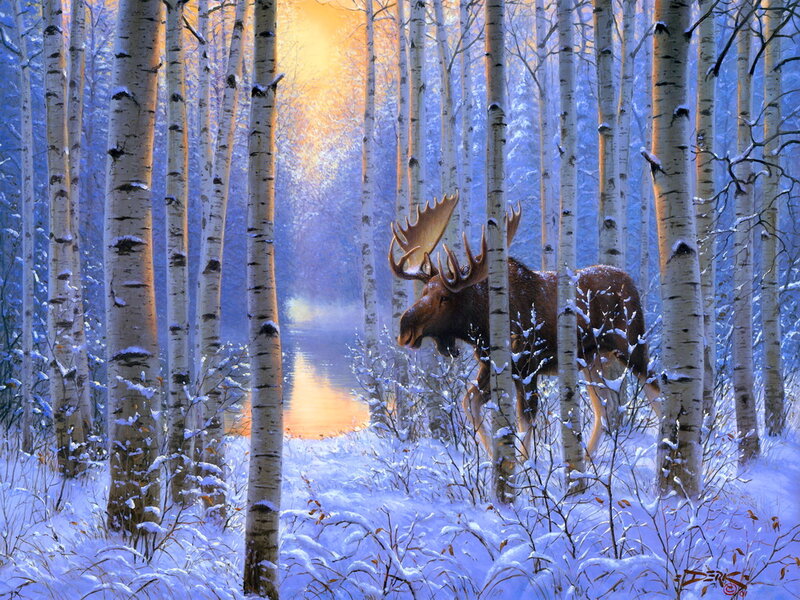 Moose in Birch Forest — White, Serene, Winter