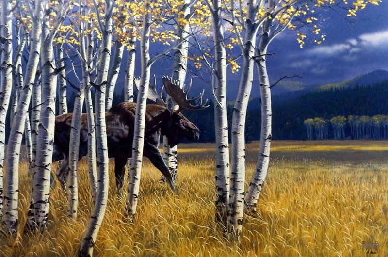 Moose in Birch Forest — Yellow