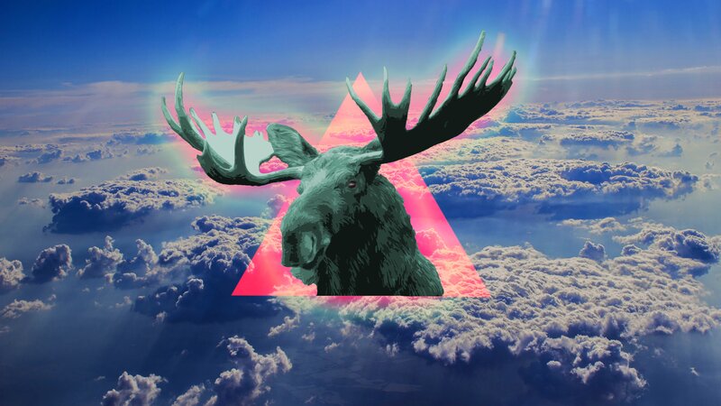 Moose in Clouds