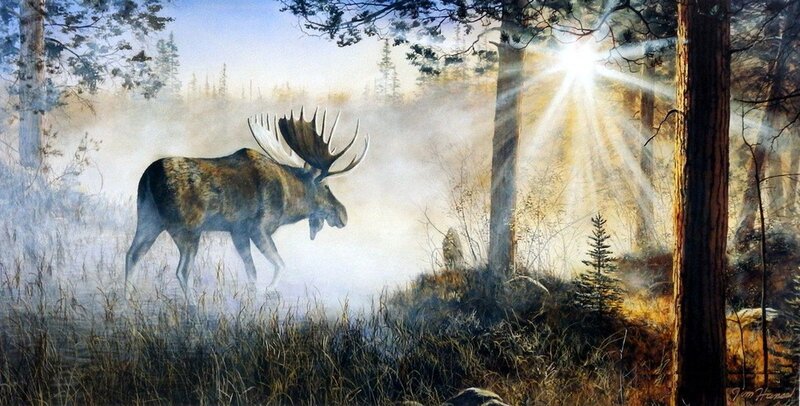Moose in Forest — Brown, Serene