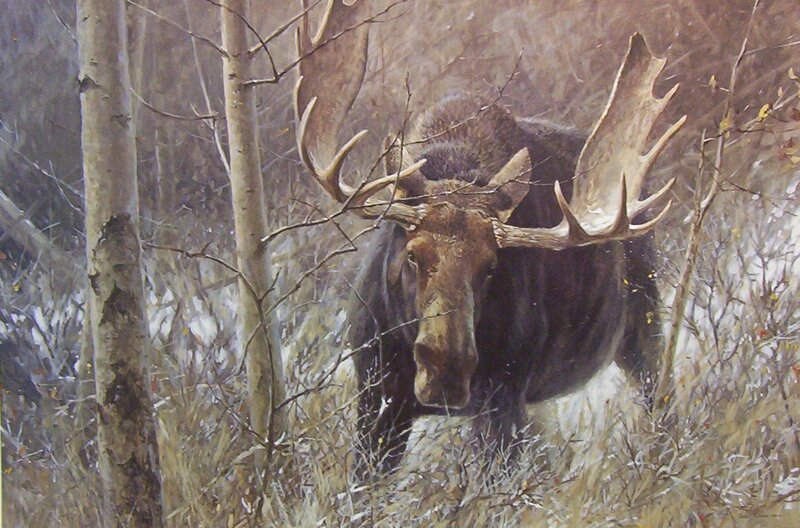 Moose in Forest — Brown