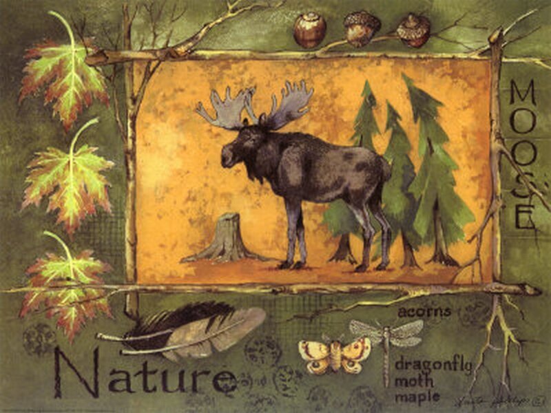Moose in Forest — Green, Natural, Autumn